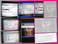 System 5.0.4 'Parallel Card' driver printing to APL C & Epson LX-800